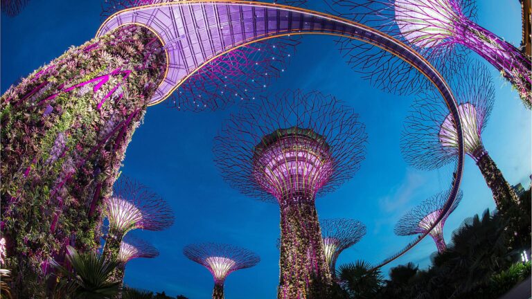 singapore-supertree-garden-by-the-bay-night
