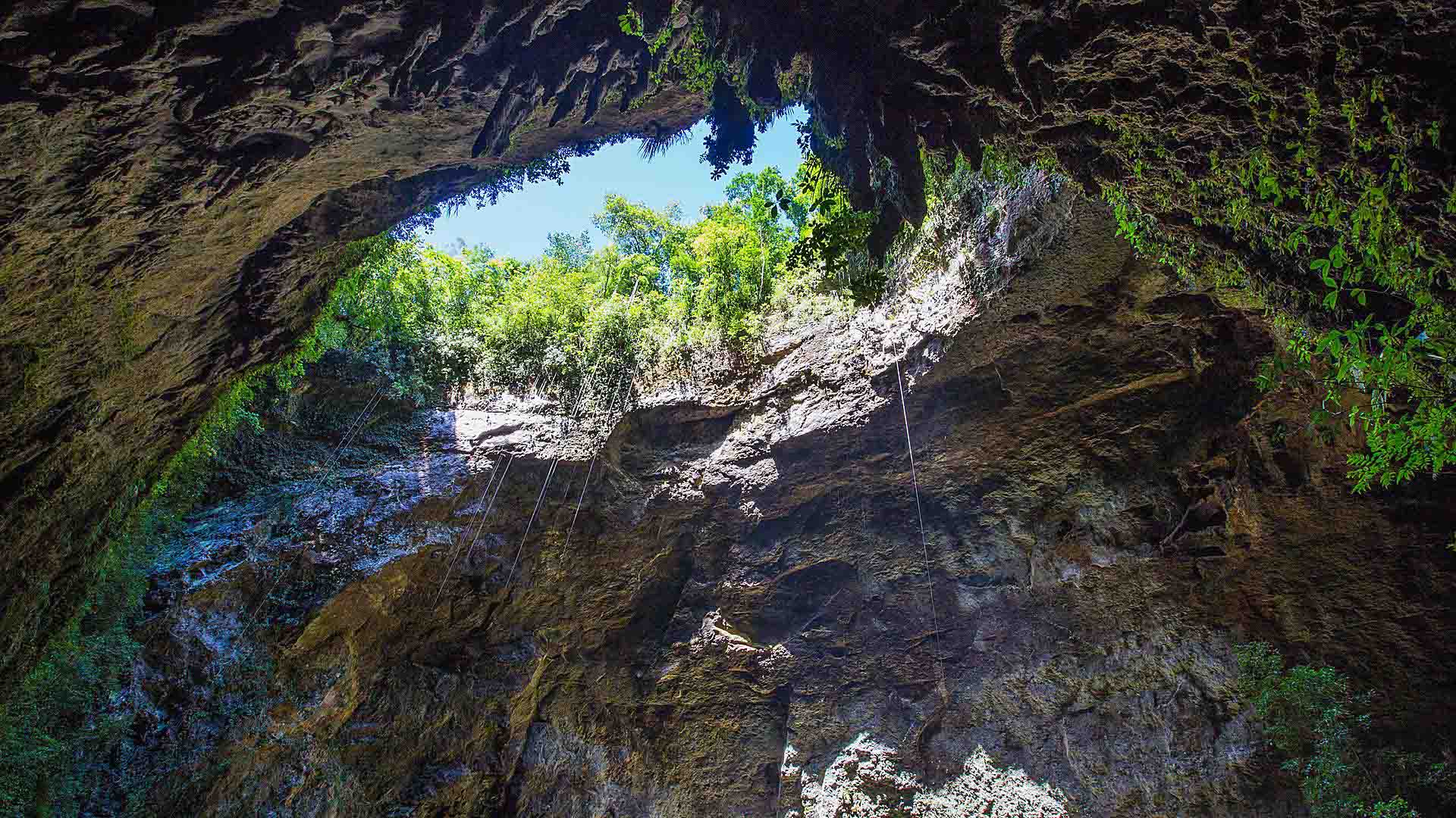 puerto-rico-rio-camuy-cave-park