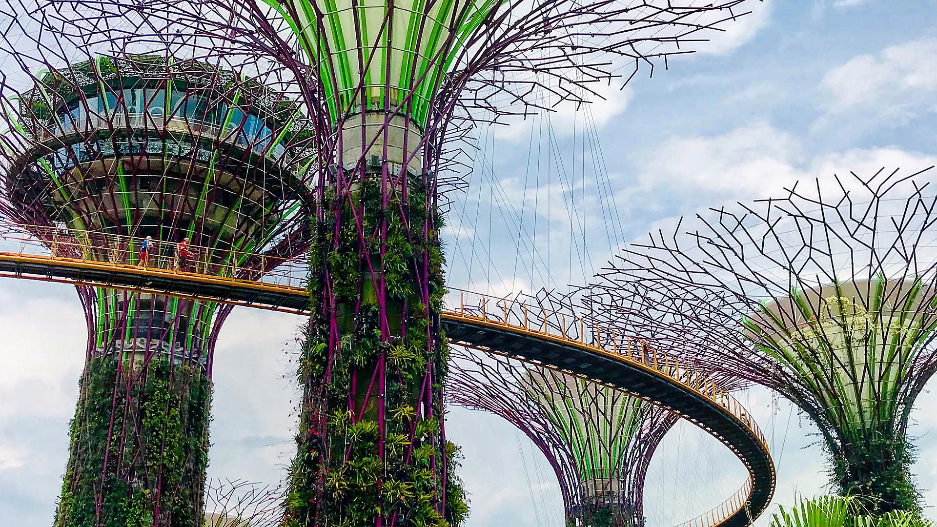 singapore-super-trees